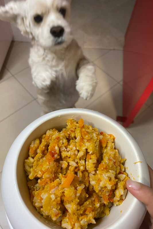 Paw Favor Fish Meal Paw Favor Paw Favor Services Non-prescription Dog Food.
