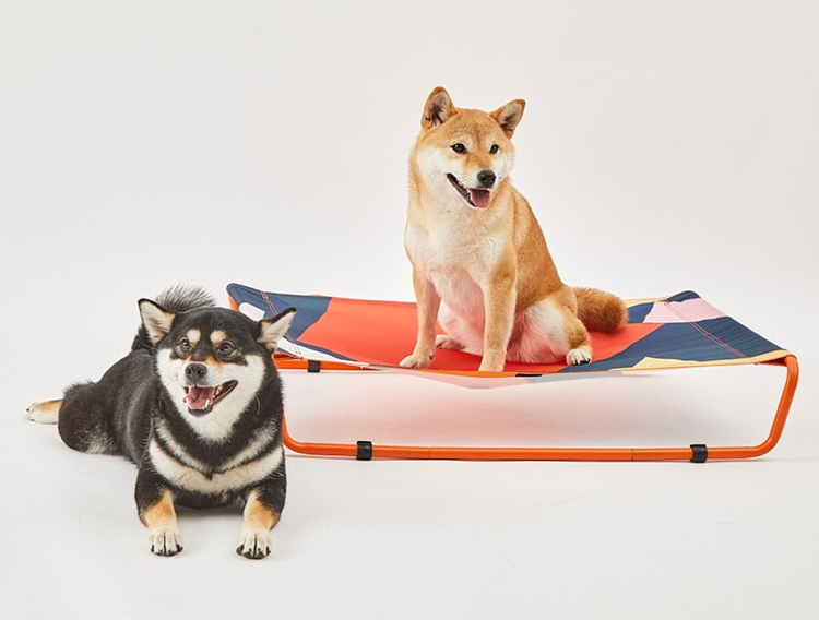 PETKIT Large Dog Elevated Bed