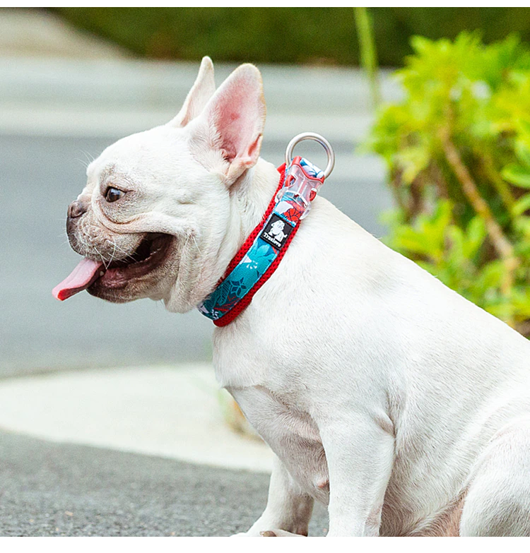 Truelove Floral Dog Collar