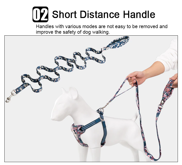 Truelove Floral Dog Leash (Multi-Loop design)