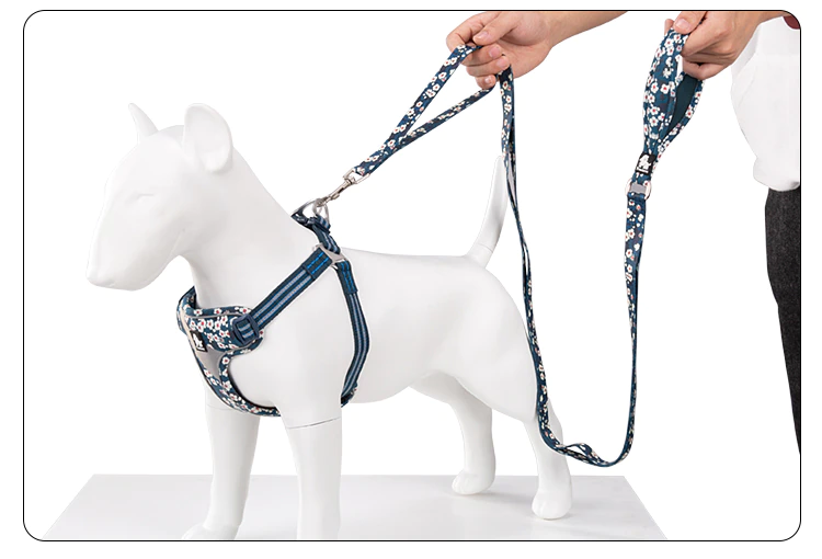 Truelove Floral Dog Leash (Multi-Loop design)