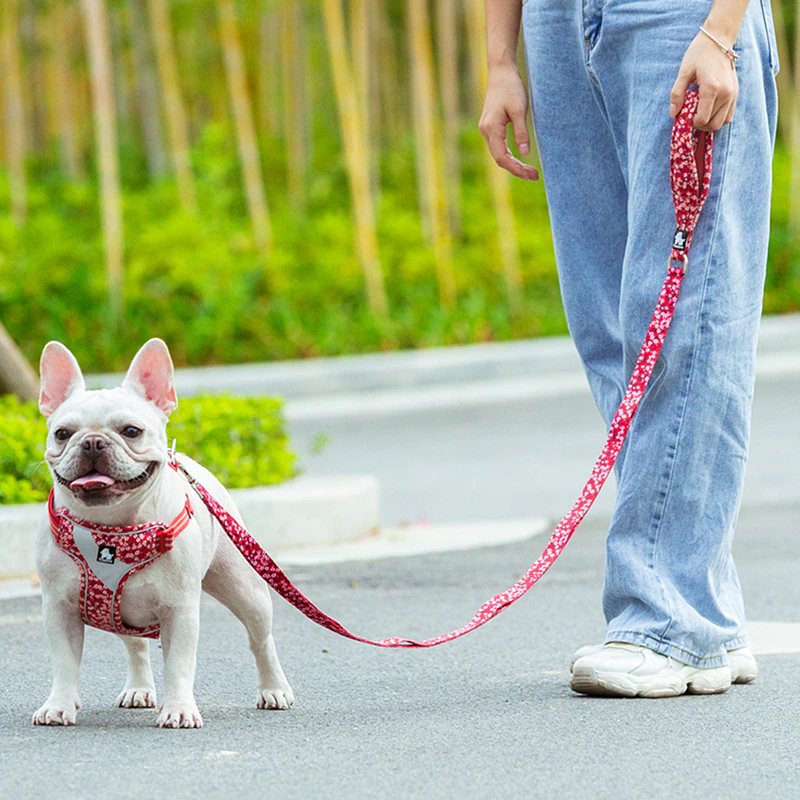 Truelove Floral Dog Leash (Multi-Loop design)