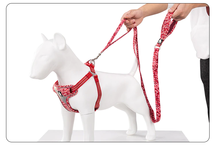 Truelove Floral Dog Leash (Multi-Loop design)