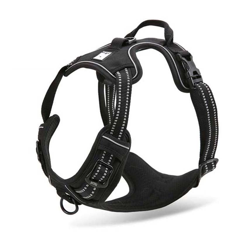 Truelove Front Range Reflective Nylon Harness