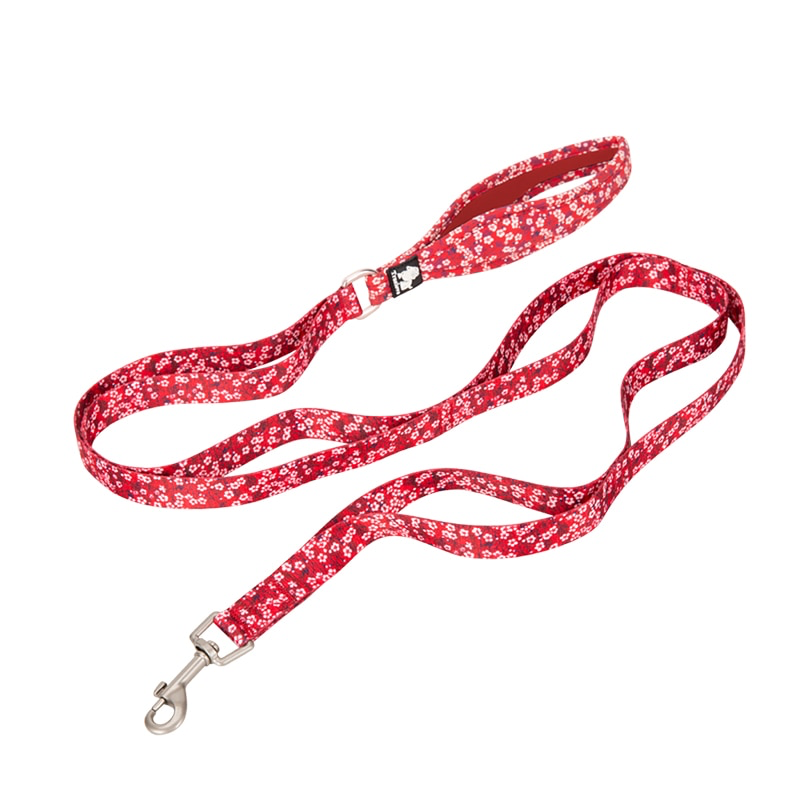 Multi loop dog lead hot sale
