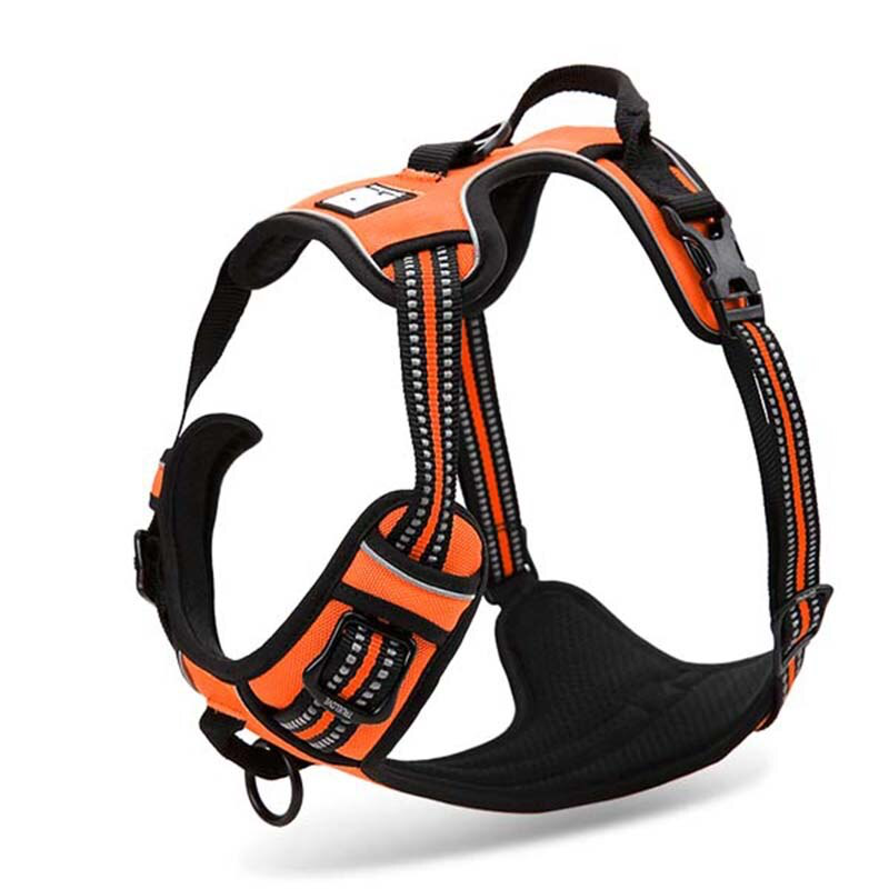 Truelove Front Range Reflective Nylon Harness