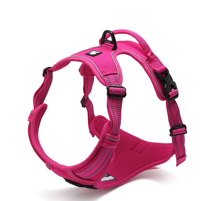 Truelove Front Range Reflective Nylon Harness