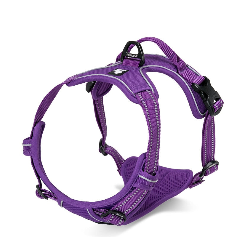 Truelove Front Range Reflective Nylon Harness