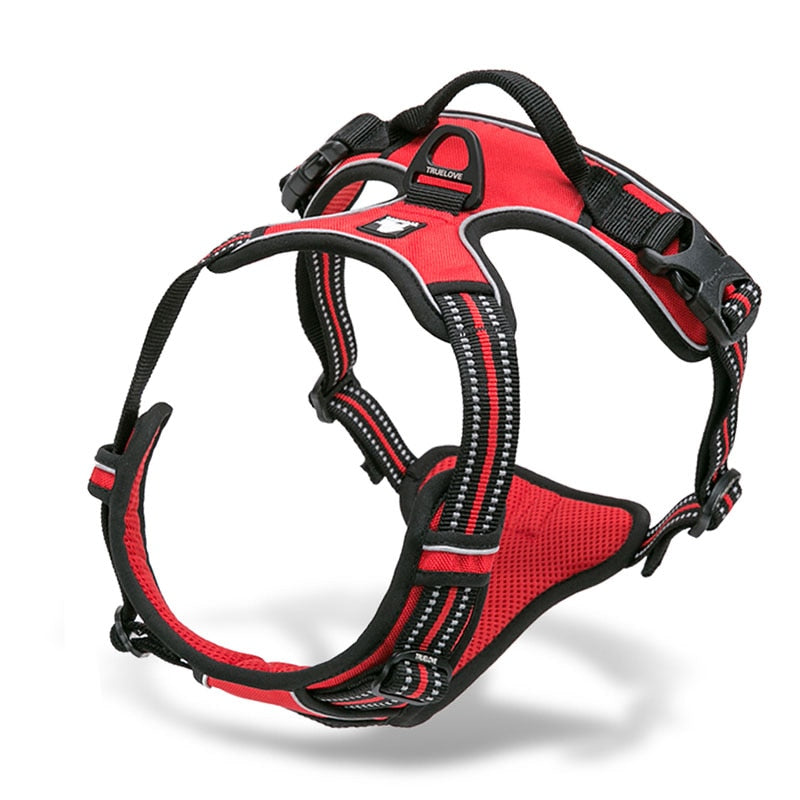 Truelove Front Range Reflective Nylon Harness