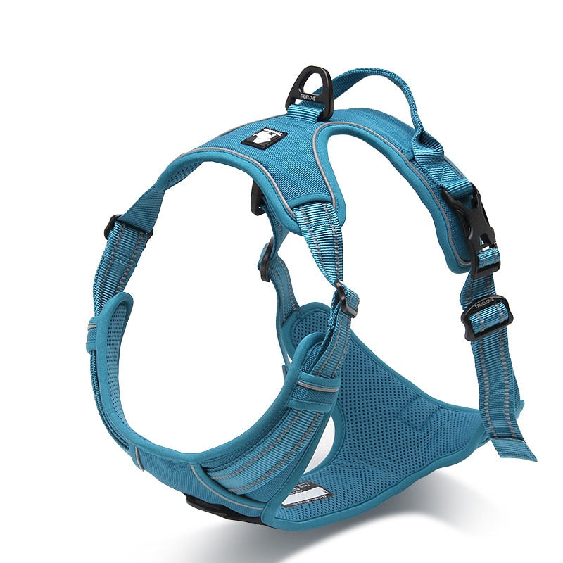 Truelove Front Range Reflective Nylon Harness