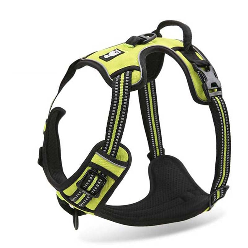 Truelove Front Range Reflective Nylon Harness